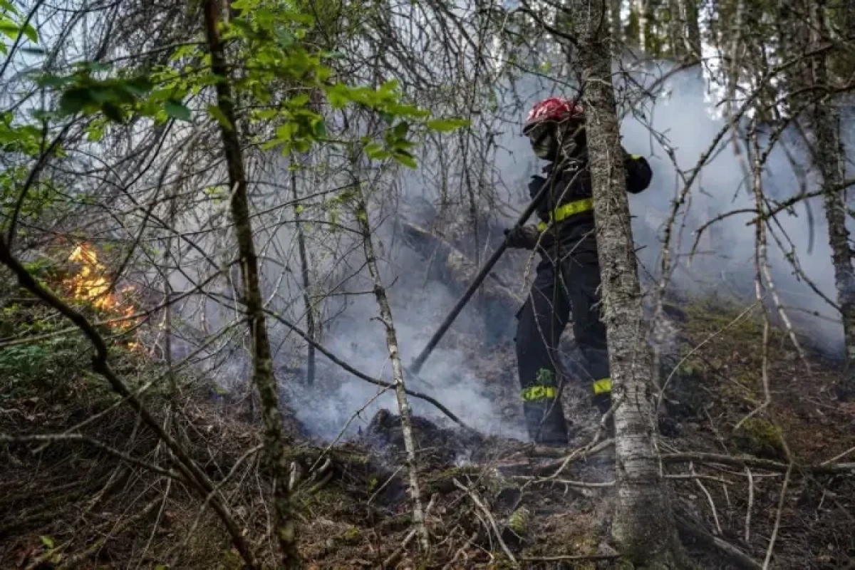 Canada wildfires 'off the charts' as heat intensifies