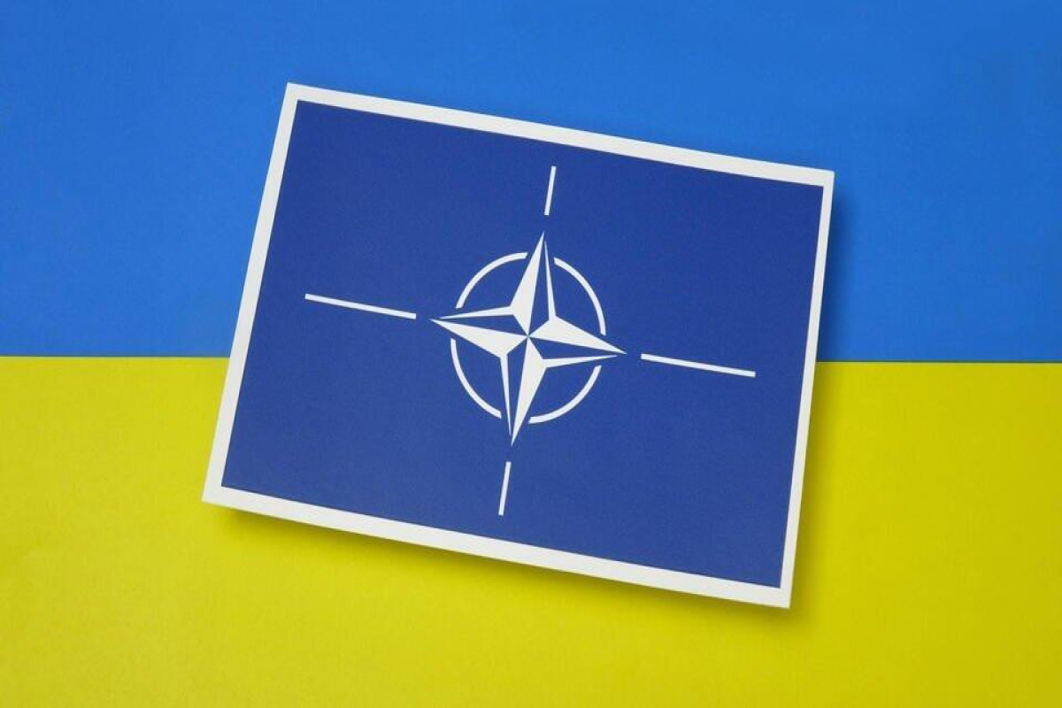 Media Report: US and Germany's positions on Kyiv's NATO membership show signs of softening