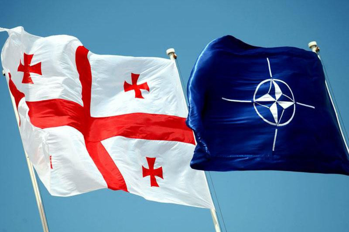 Parliament Speaker: If Georgia had been a member of NATO in 2008, there would have been "neither the war nor the Russian occupation"