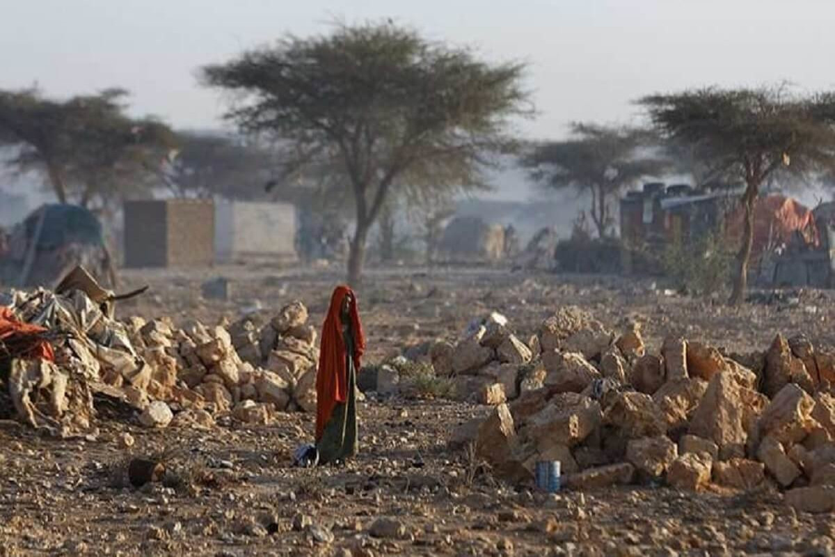 Nigeria declares "state of emergency" over food insecurity