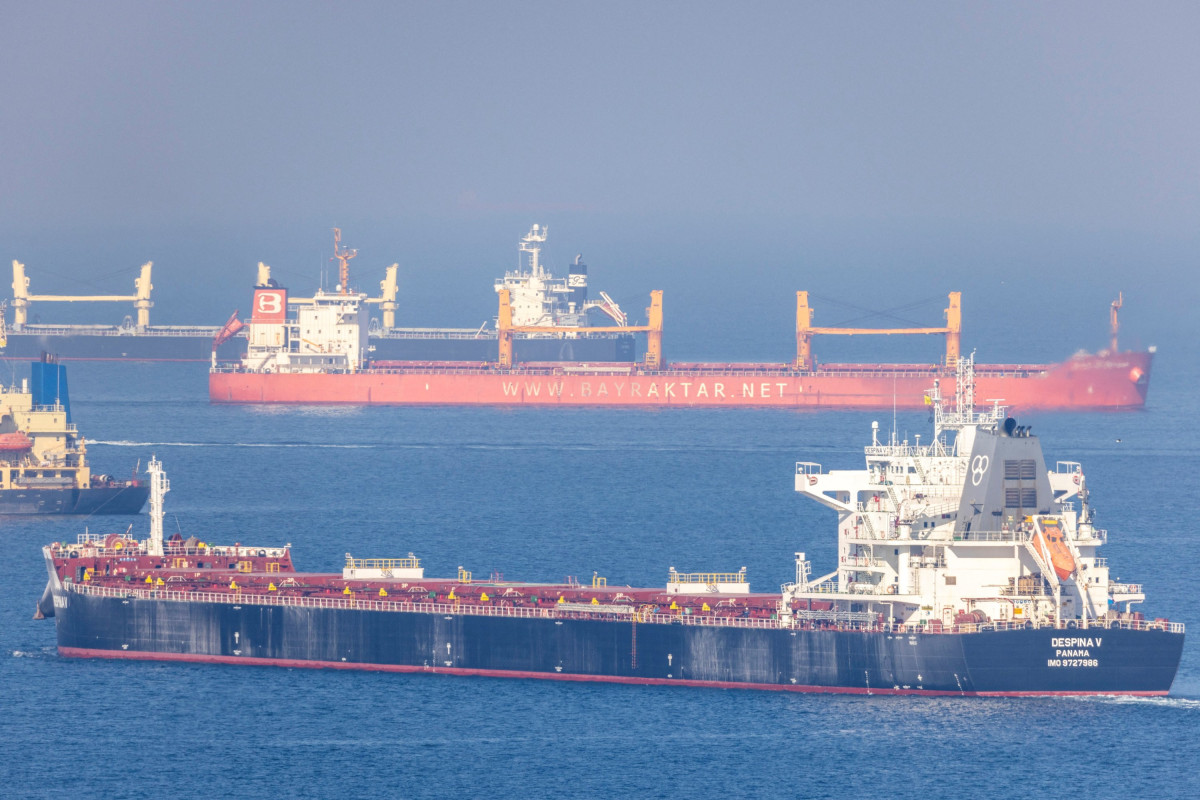 Turkish authorities hope for grain deal extension – vice president