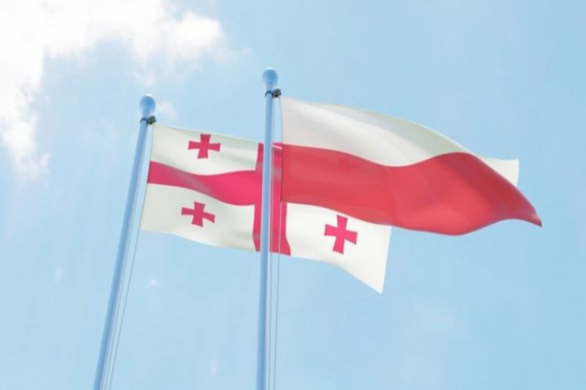 Polish Ambassador summoned to Georgian MFA, representative went  - VIDEO 