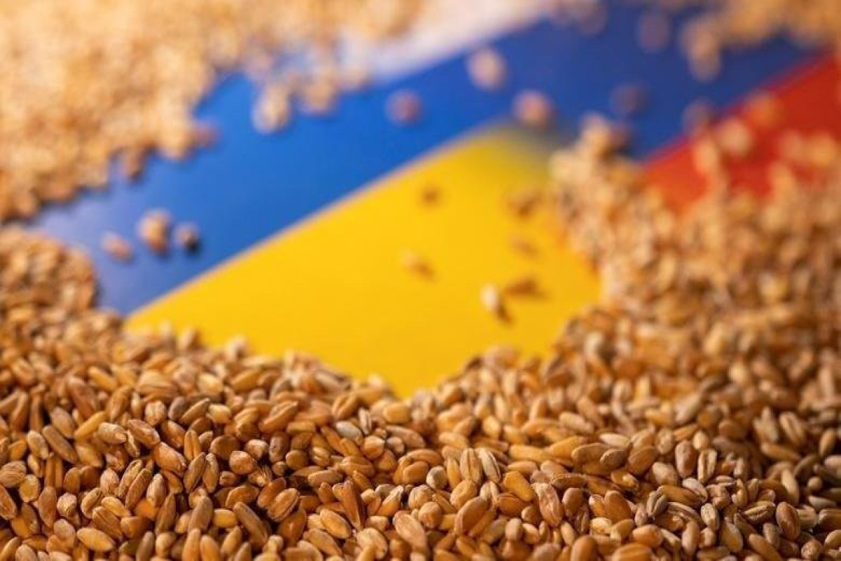 Black Sea grain deal, what food is exported and which countries get the most?-LIST 