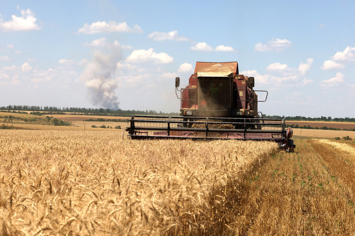 Wheat prices jump 3% after Russia announces end to grain deal
