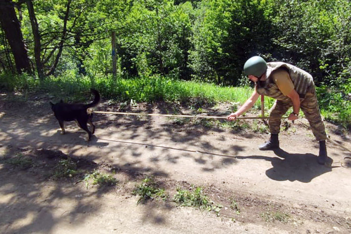 Azerbaijan MoD: Up to 610 hectares of land completely cleared of mines during July