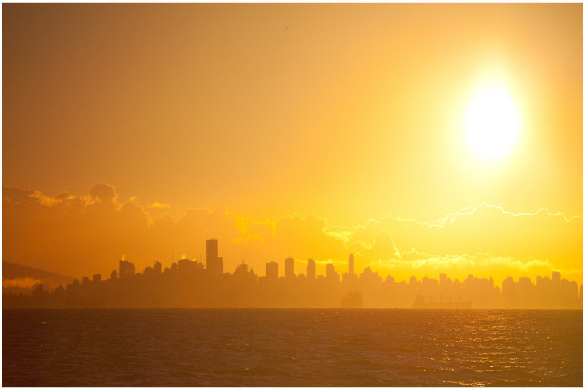 World must prepare for more intense heatwaves: UN