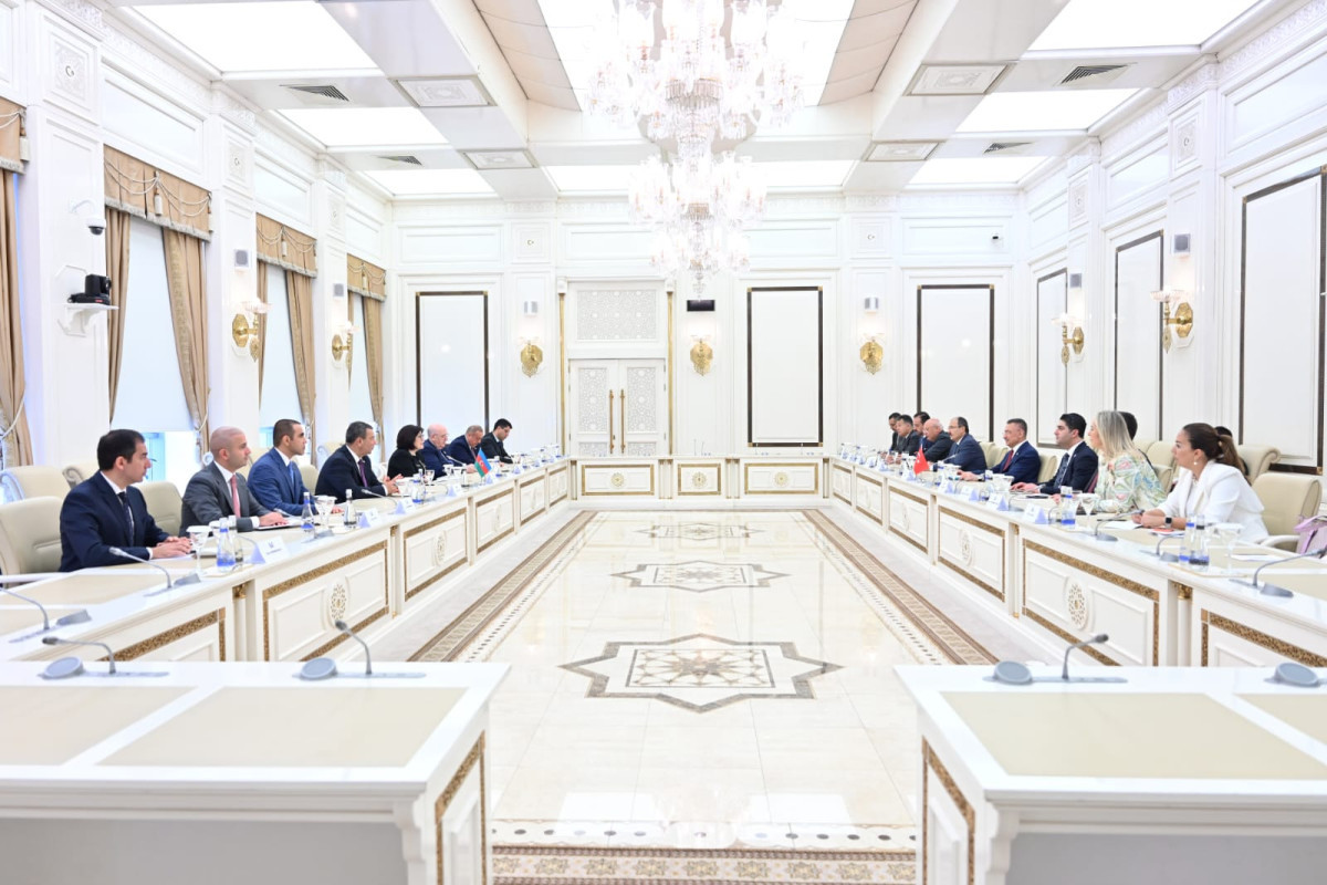 Azerbaijani Milli Majlis Speaker meets with chairman of GNAT Foreign Relations Committee