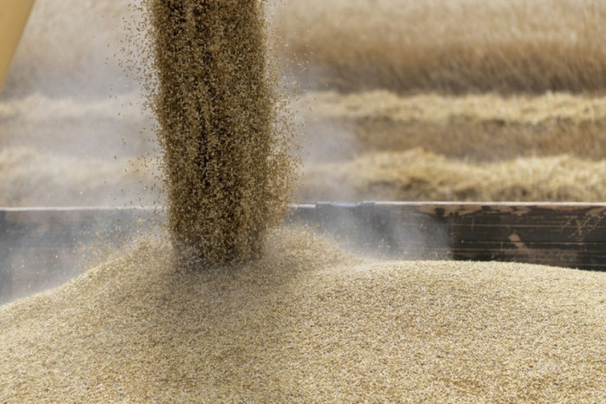 Wheat prices surges at the Chicago Mercantile Exchange