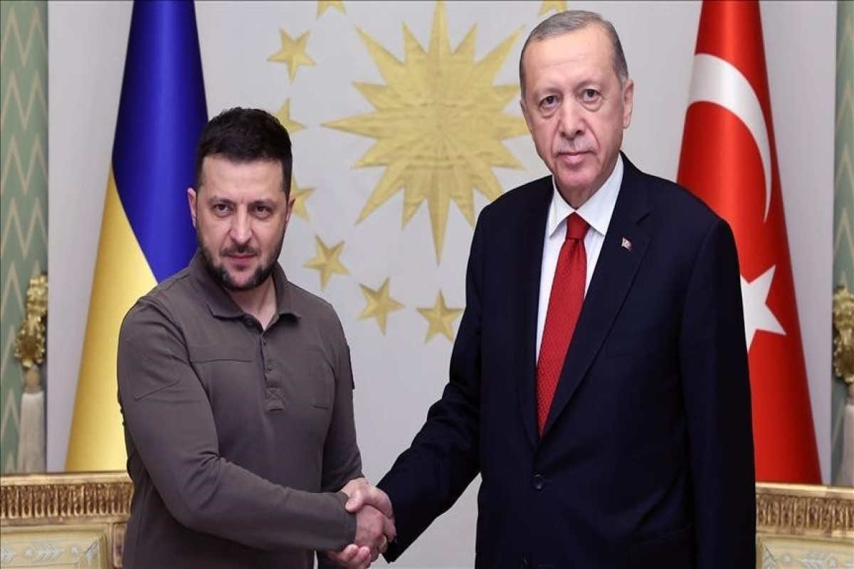 Volodymyr Zelenskyy, President of Ukraine and Recep Tayyip Erdogan, President of Türkiye
