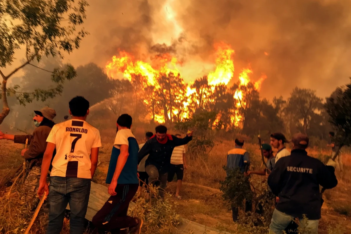 Wildfires kill 25 in Algeria as heatwave sweeps north Africa