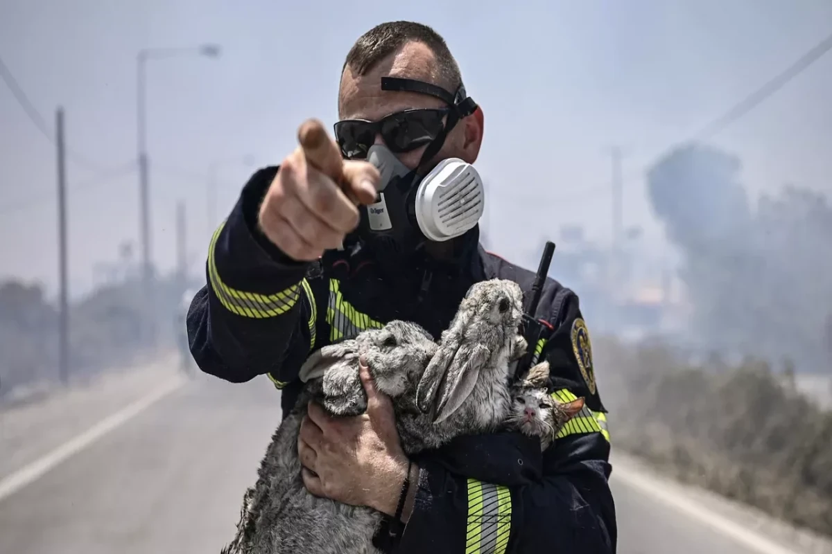Greece lifts state of emergency declared in Rhodes due to fires