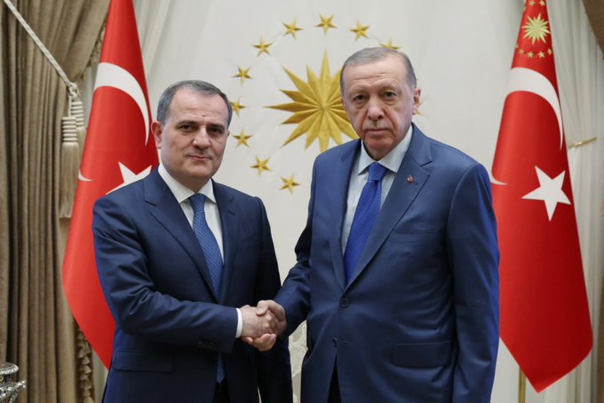 Turkish President, Azerbaijani FM discuss regional developments -PHOTO -VIDEO -UPDATED 