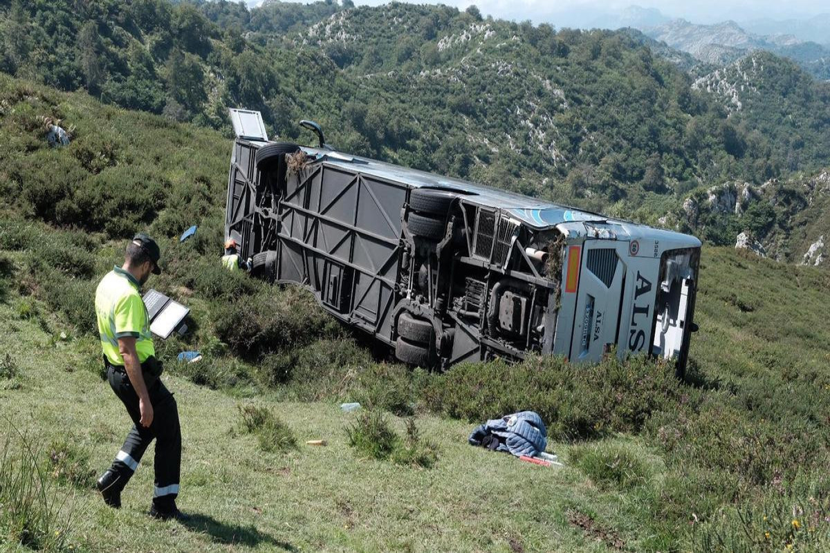 Several injured when tourist bus plunges off mountain road in north Spain