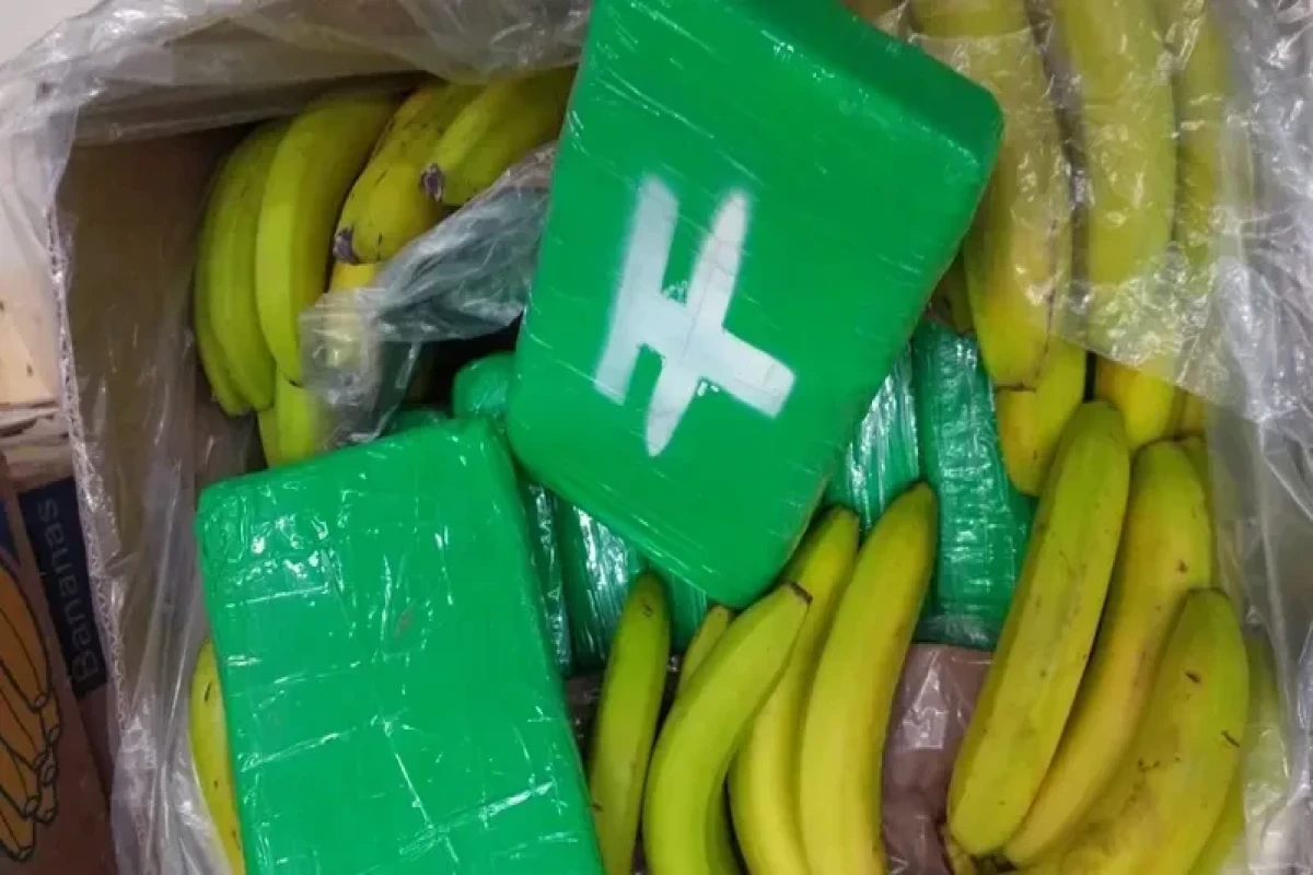 Greece police seize 3.2 mln euros of cocaine in banana containers