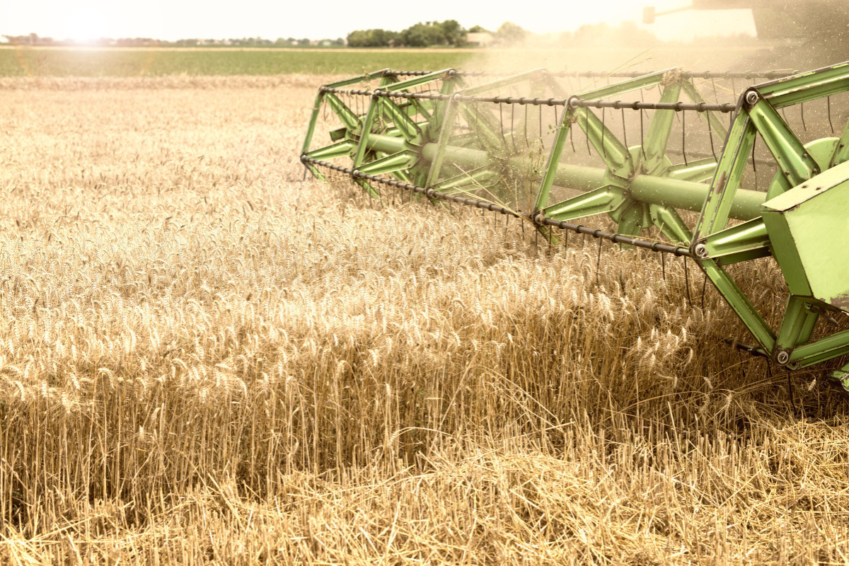 Deputy FM: Russia does not see any prospects for extension of Grain Deal