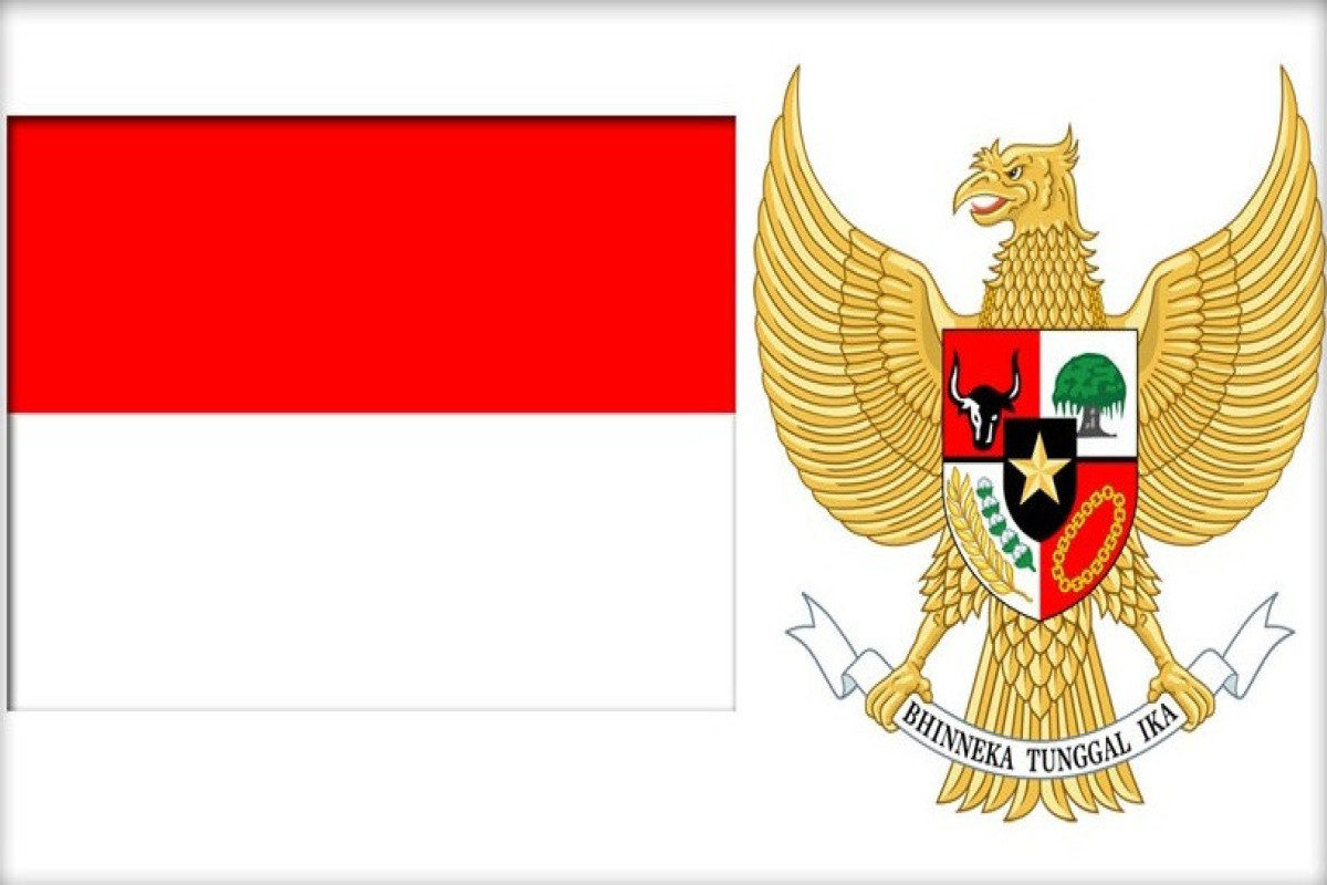President of Indonesia  to seek clarification from DefMin for Ukraine speech