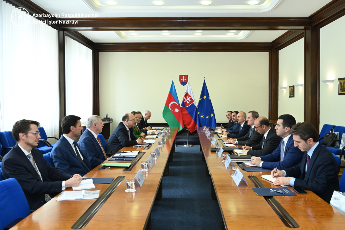 Azerbaijani FM meets with his Slovakian counterpart