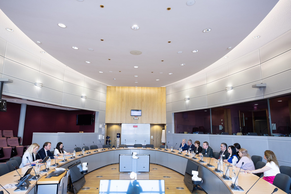 EU Commissioner discussed situation in region with Armenian parliamentarians