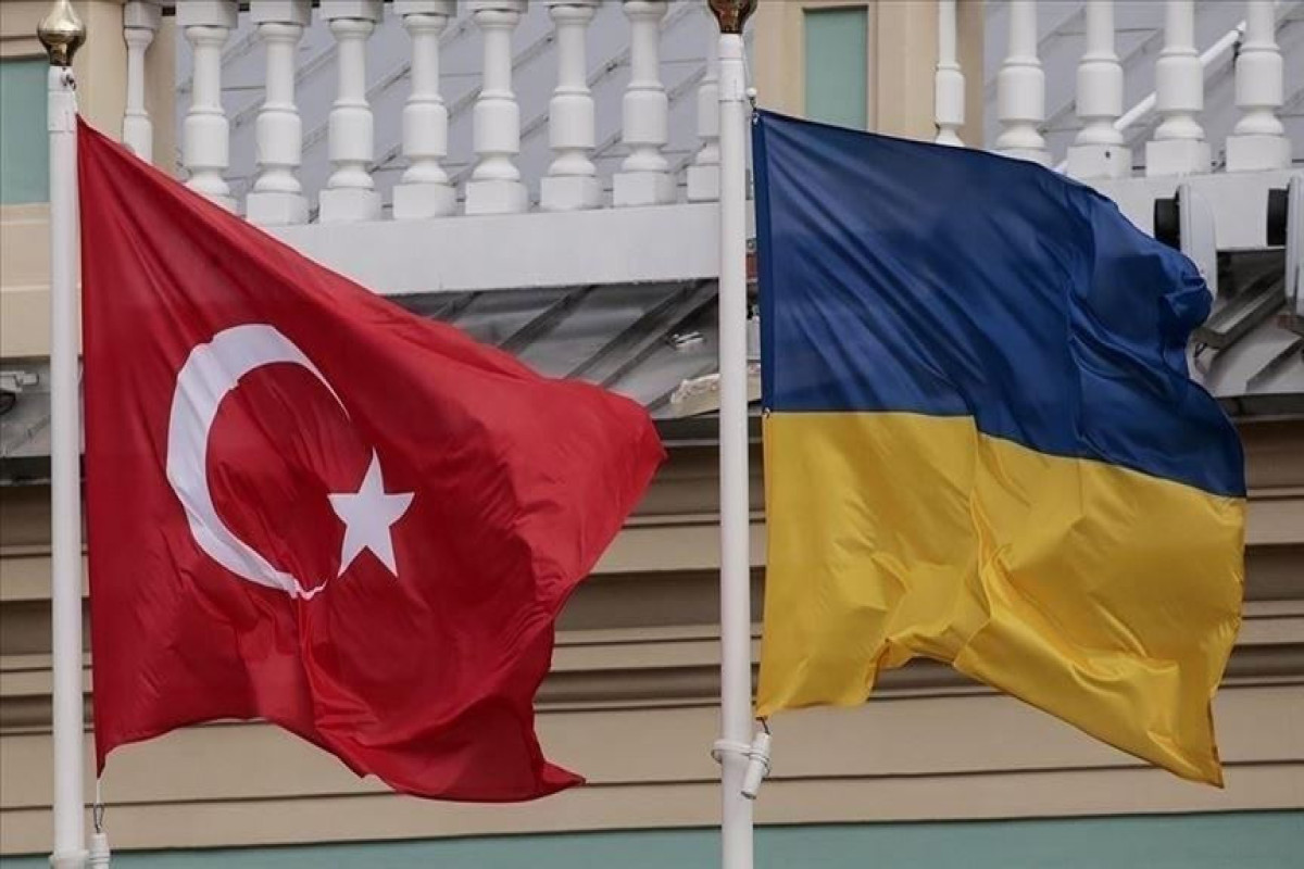 Turkish, Ukrainian FMs hold phone talk
