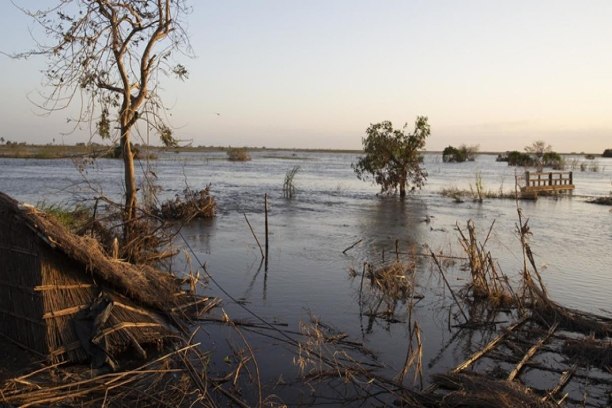7 dead, 59 injured in wind storms, floods in Iran