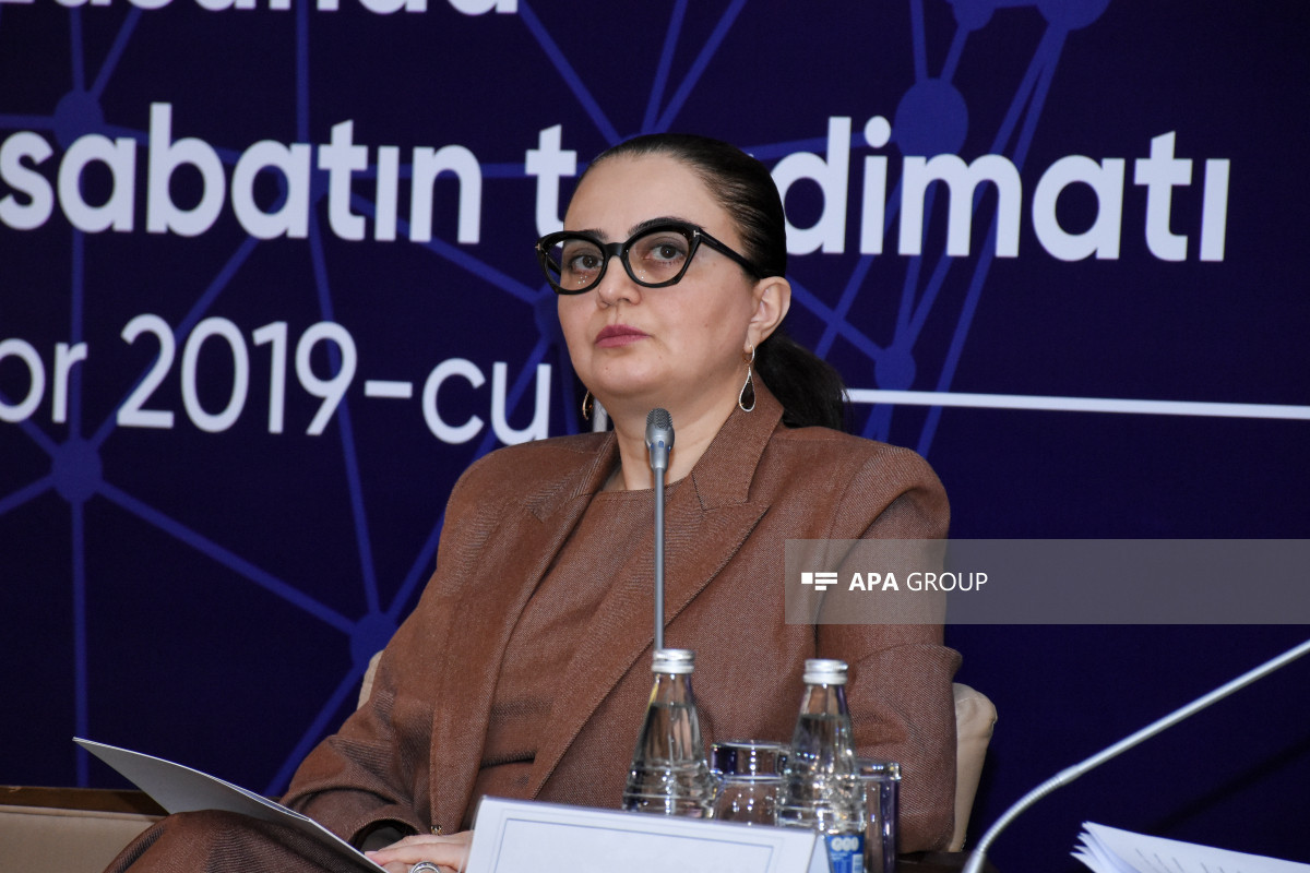 Azerbaijan’s Deputy Culture Minister: We should introduce the heritage of Western Azerbaijan to the world in several directions