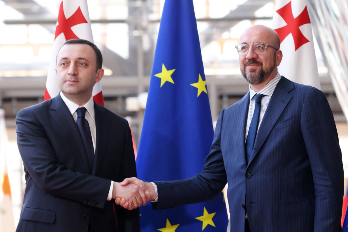 Georgian PM discusses with President of EU Council 12 recommendations proposed to Tbilisi -UPDATED 