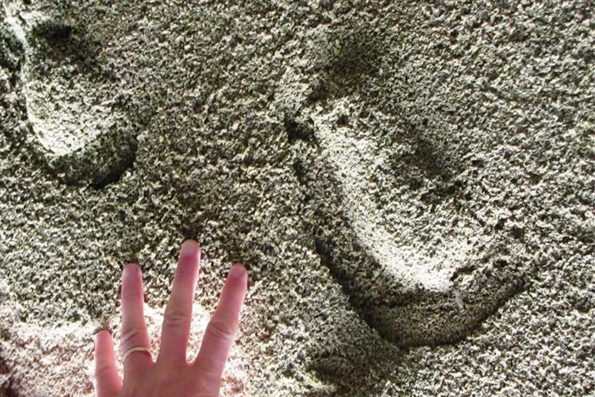 Oldest footprint of Homo Sapiens discovered in South Africa