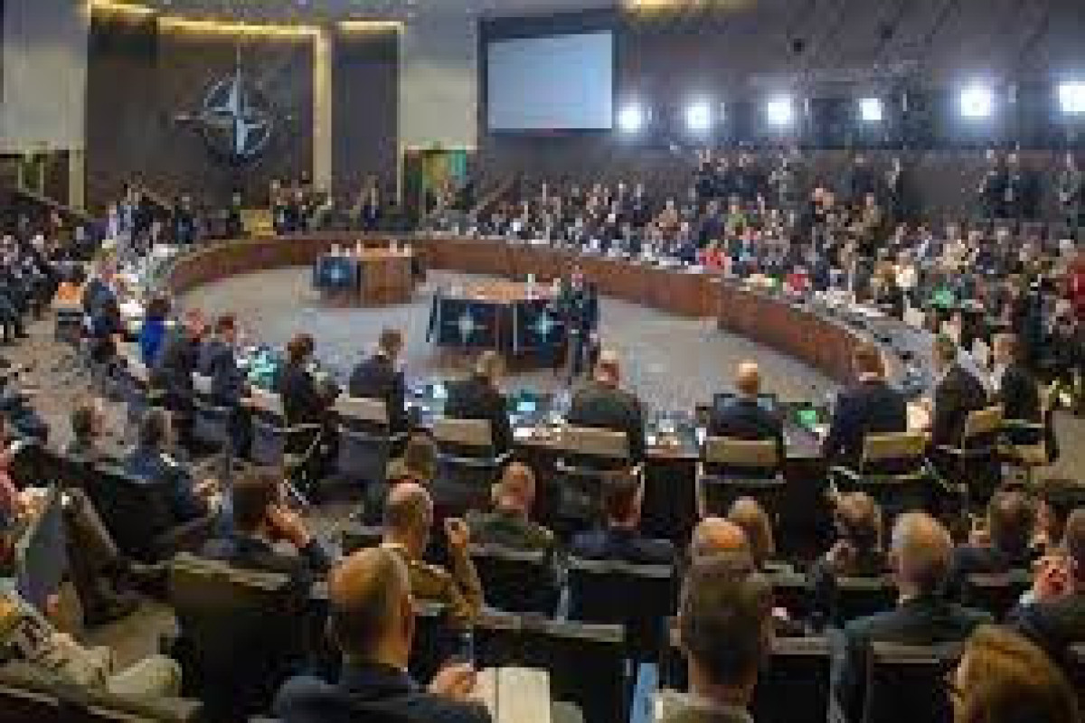 NATO may remove some hurdles on Ukraine's path to membership, Germany says
