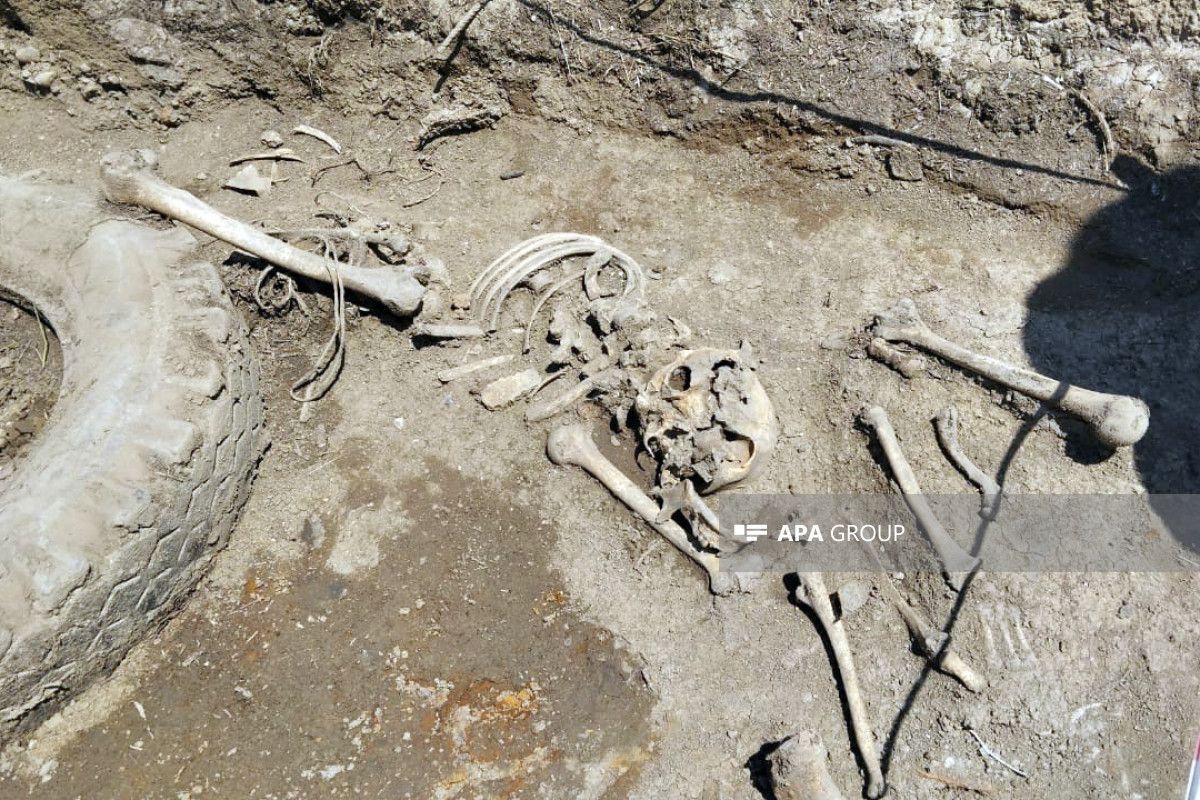 Mass burial found in liberated area in Aghdam-PHOTO 
