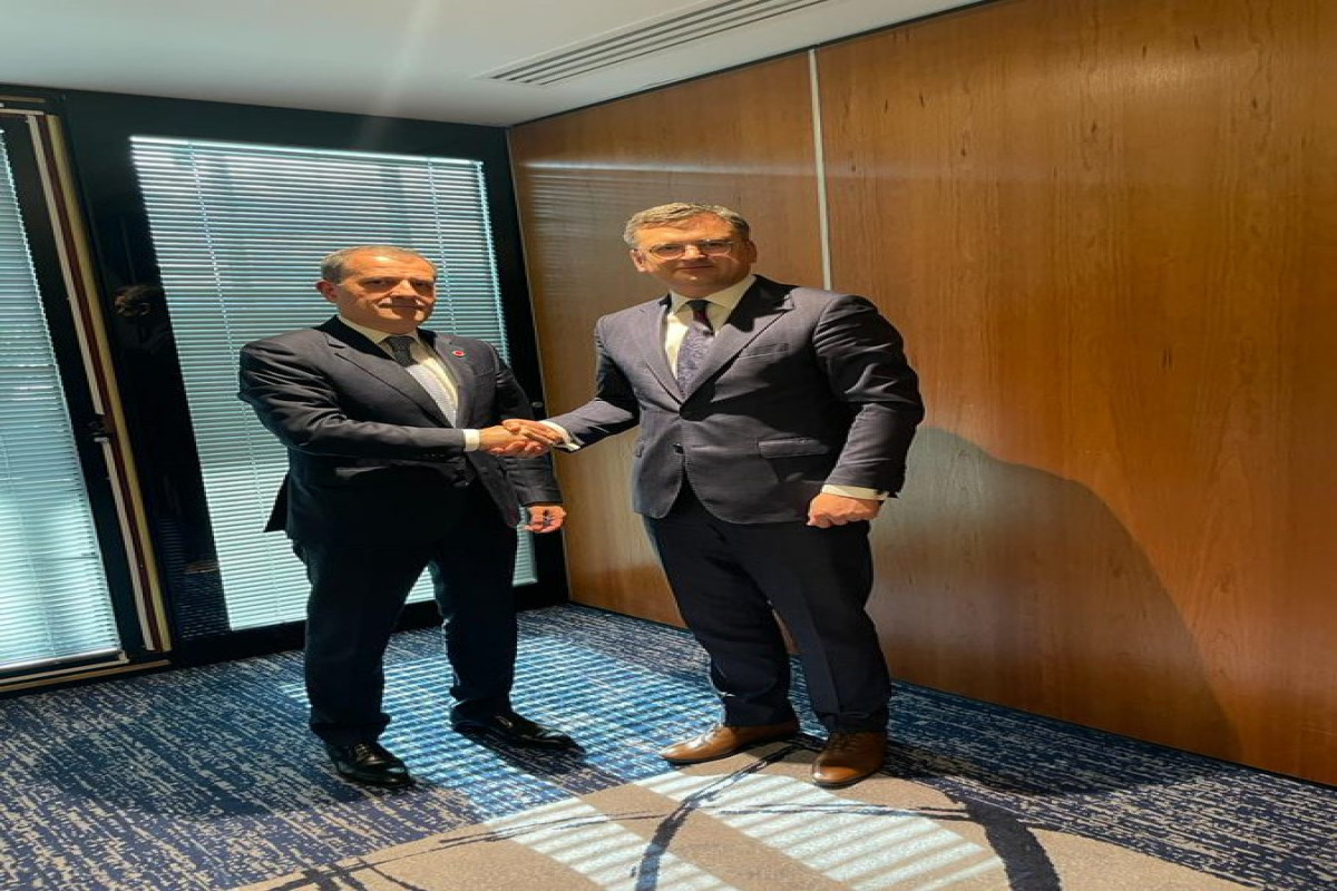 Azerbaijani, Ukrainian FMs mull regional and international security issues-UPDATED 