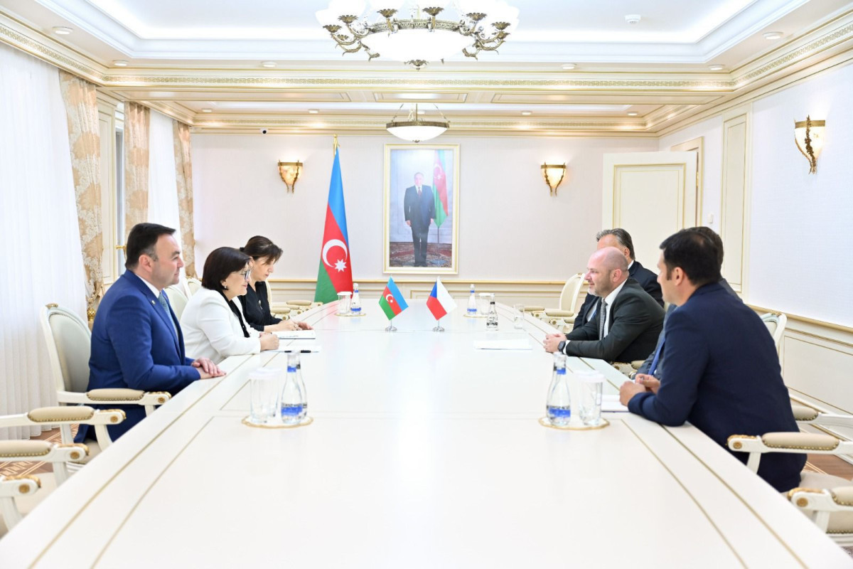 Chair of Milli Majlis meets with members of Czech Republic-Azerbaijan inter-legislature connexions group
