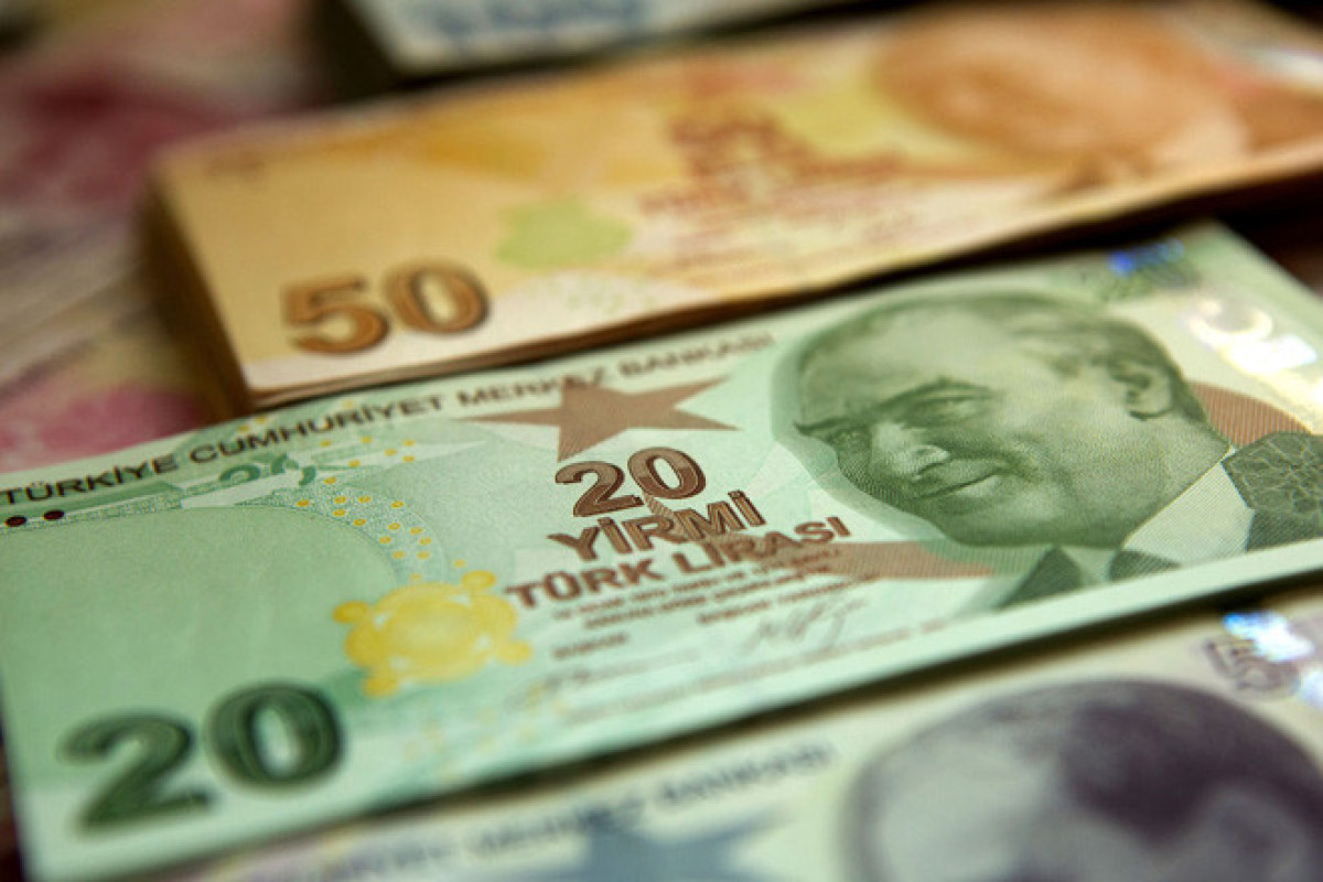 Türkiye's foreign exchange reserves rise to record high in week