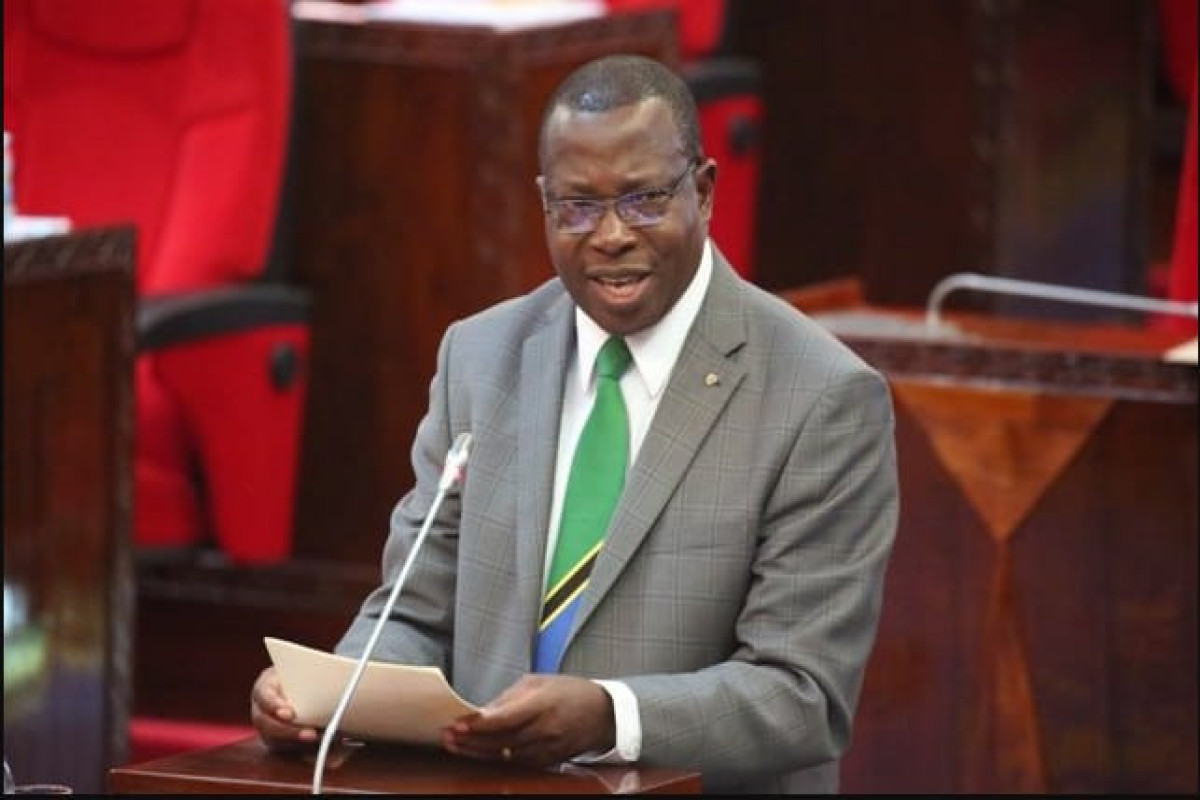 Philip Isdor Mpango, Tanzania's vice president