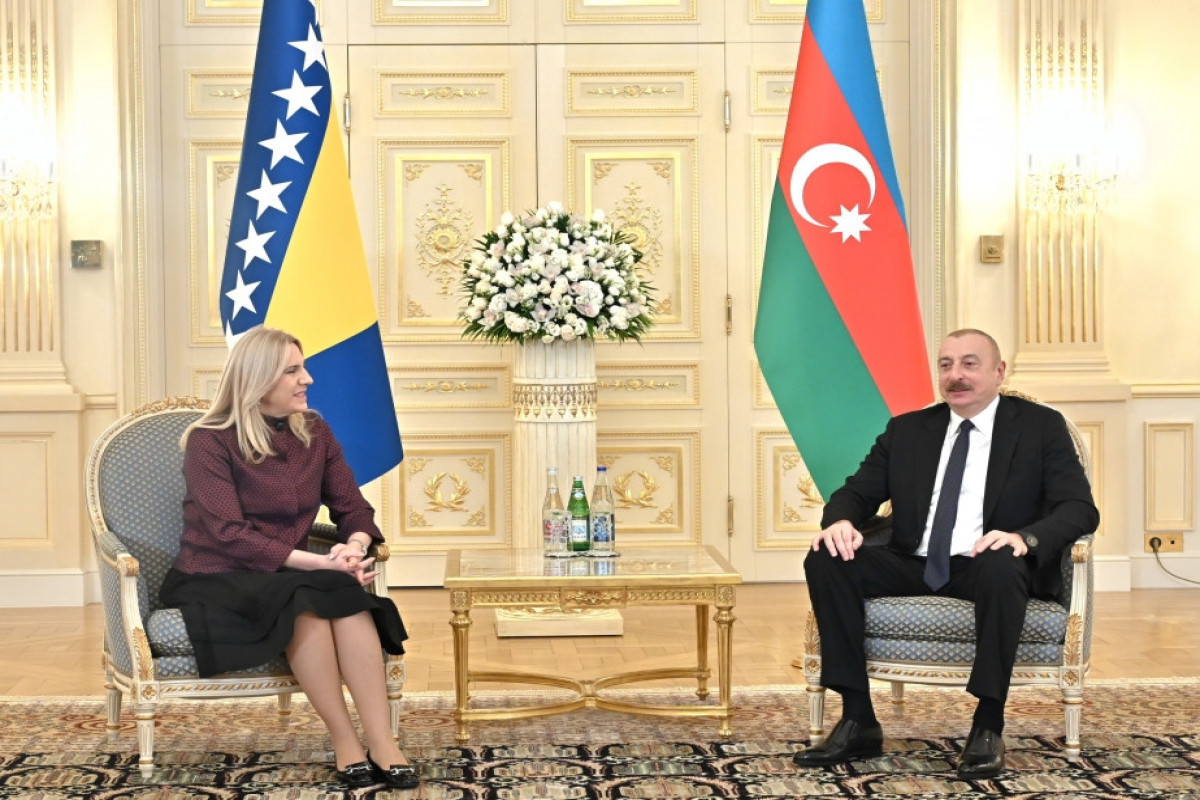President Ilham Aliyev met with Chairwoman of Presidency of Bosnia and Herzegovina-UPDATED 