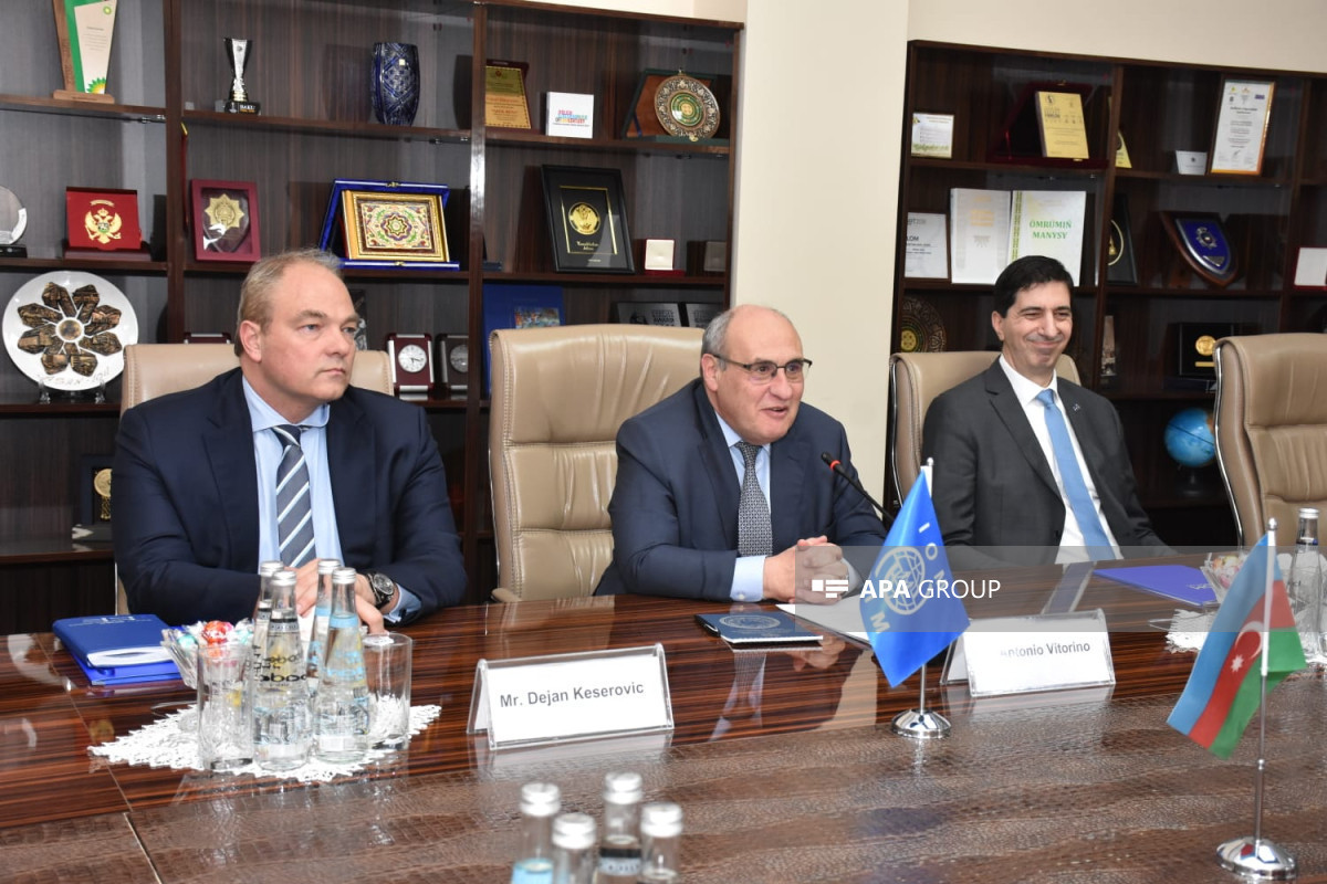 IOM: We can ensure technical support for returning IDPs