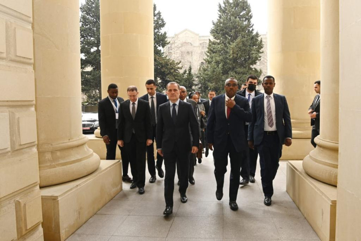 Deputy Prime Minister of Ethiopia is in in Azerbaijan