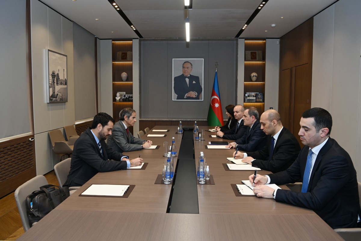 Azerbaijani FM and IAEA Director-General mull activity of Metsamor Nuclear Power Plant