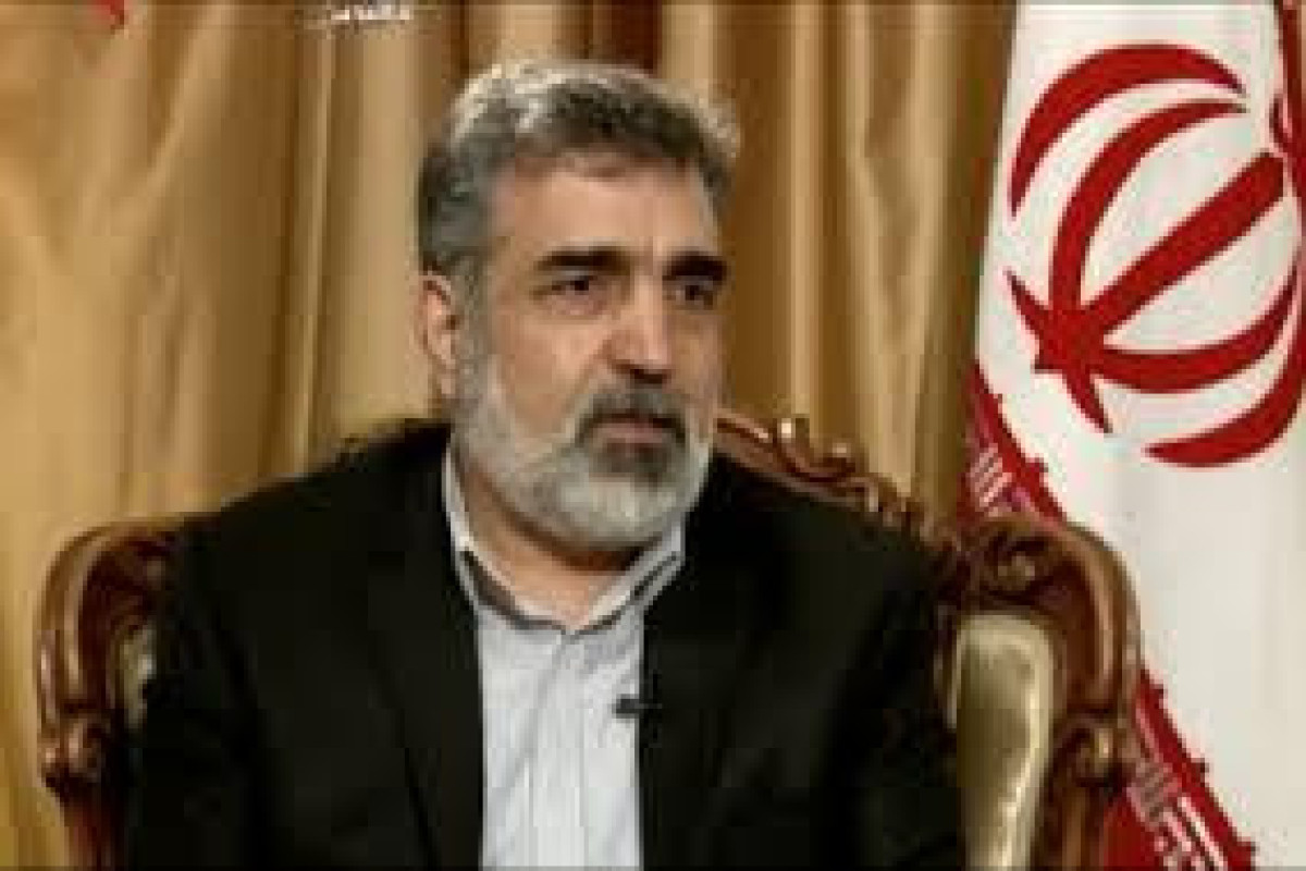 Iran rejects allegations of IAEA access to certain people