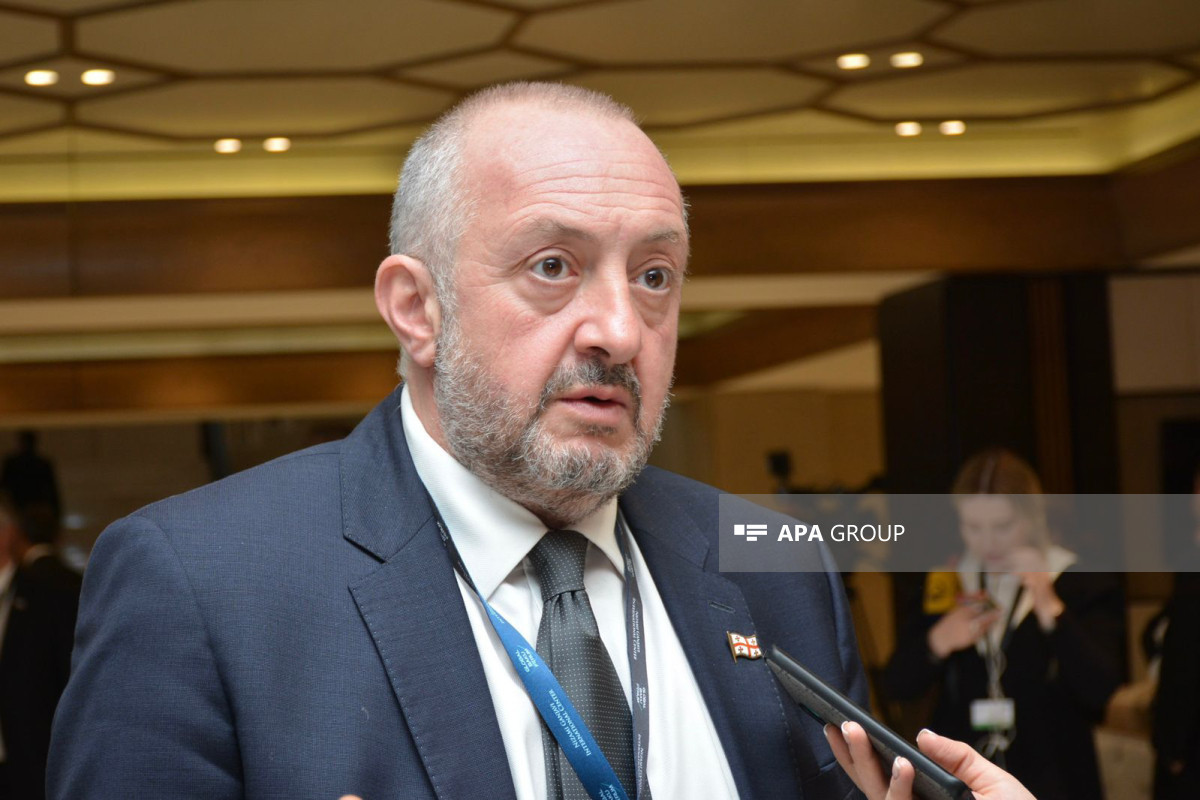 Former Georgian President Giorgi Marvelashvili