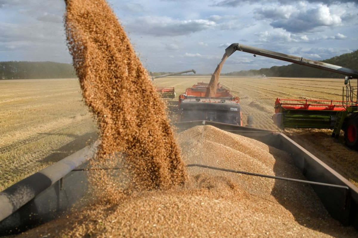 Kremlin says there are still questions over Black Sea grain deal