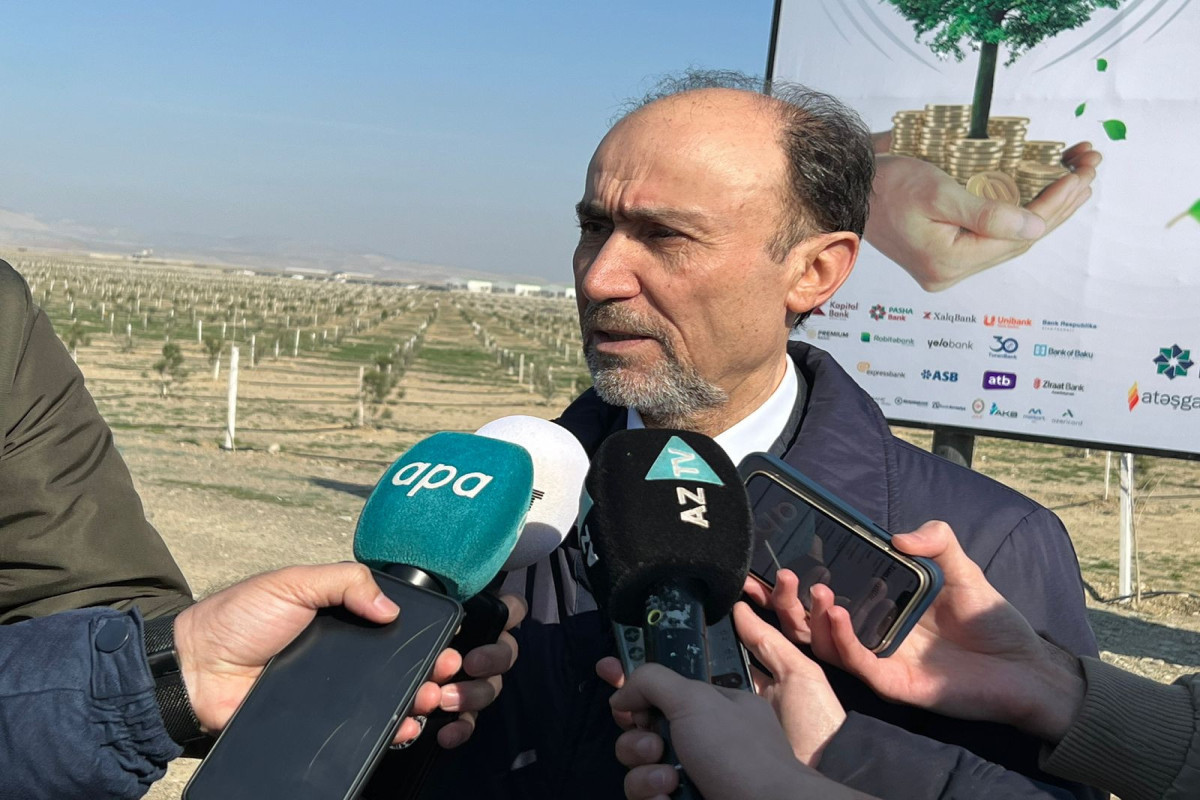 A mln of trees to be planted in liberated territories of Azerbaijan within 10 years