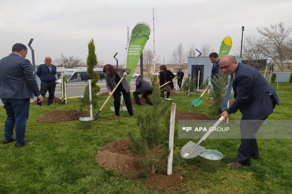 UN officials plant trees in Azerbaijan's Ağdam -PHOTO 
