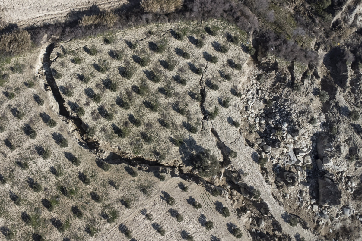 Türkiye quakes cause $6.7B losses in agriculture, livestock: UN
