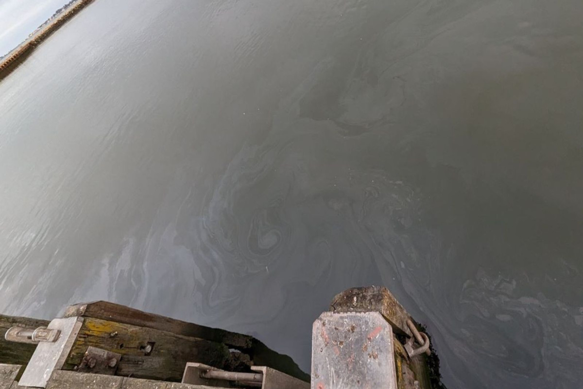UK reports 'major incident' over oil leak in Dorset