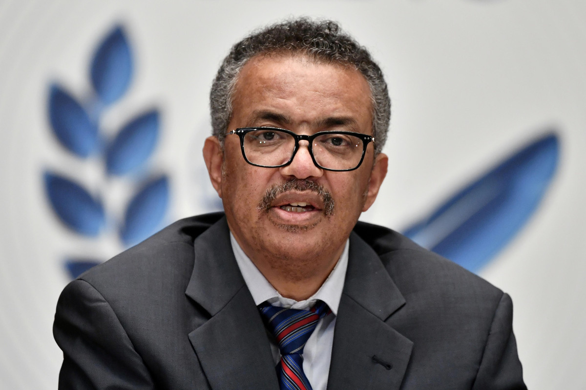 WHO General Director: Azerbaijan has made great efforts to eliminate malaria