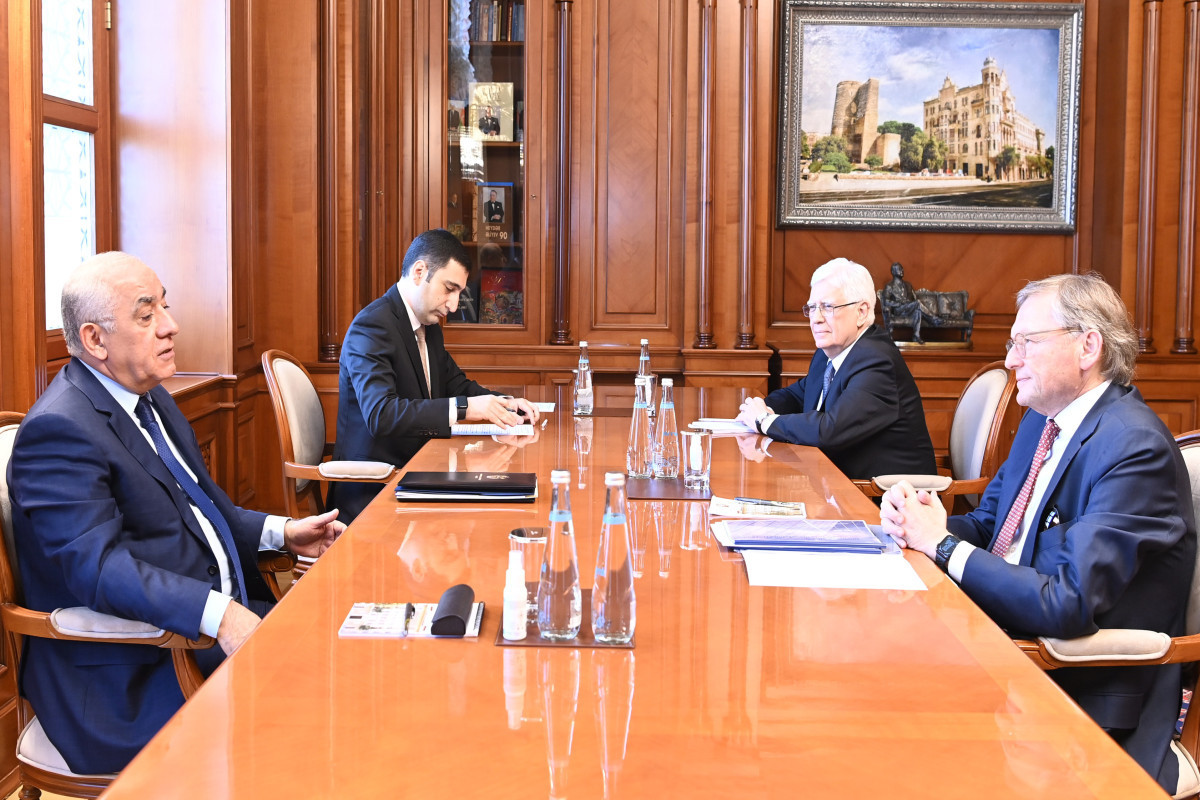 Azerbaijani PM met with Commissioner for Entrepreneurs' Rights at the President of Russia