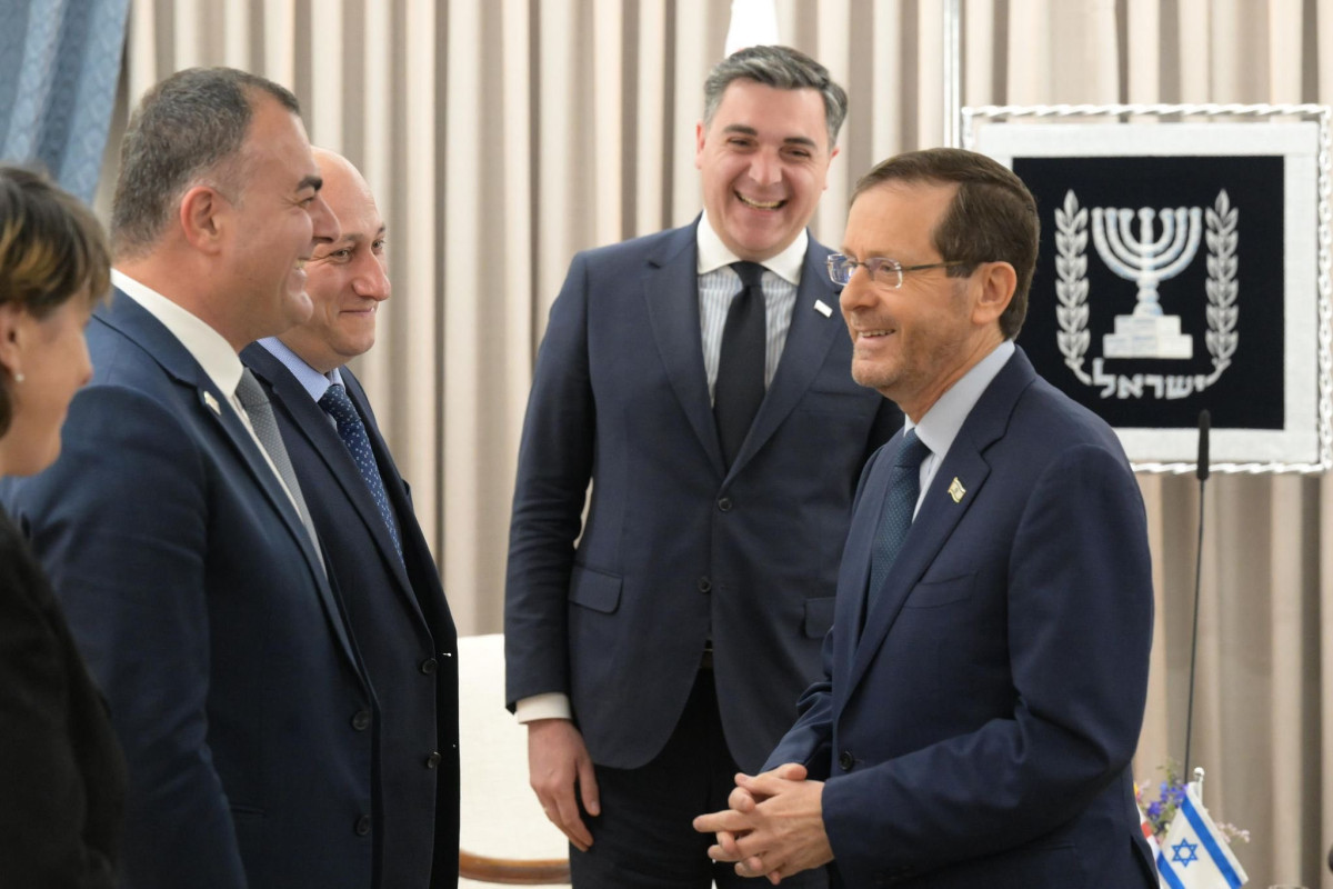Georgian FM, Israeli President discuss prospects for enhancing ties