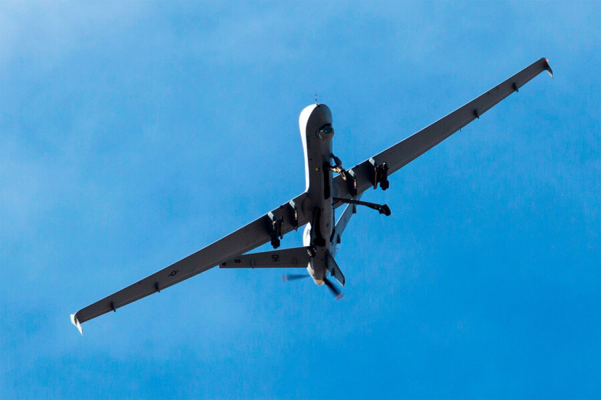 Estonia buys loitering munition systems from IAI