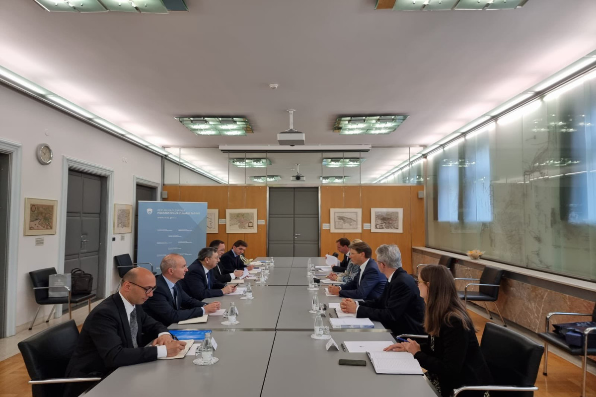 Political consultations held with Slovenia