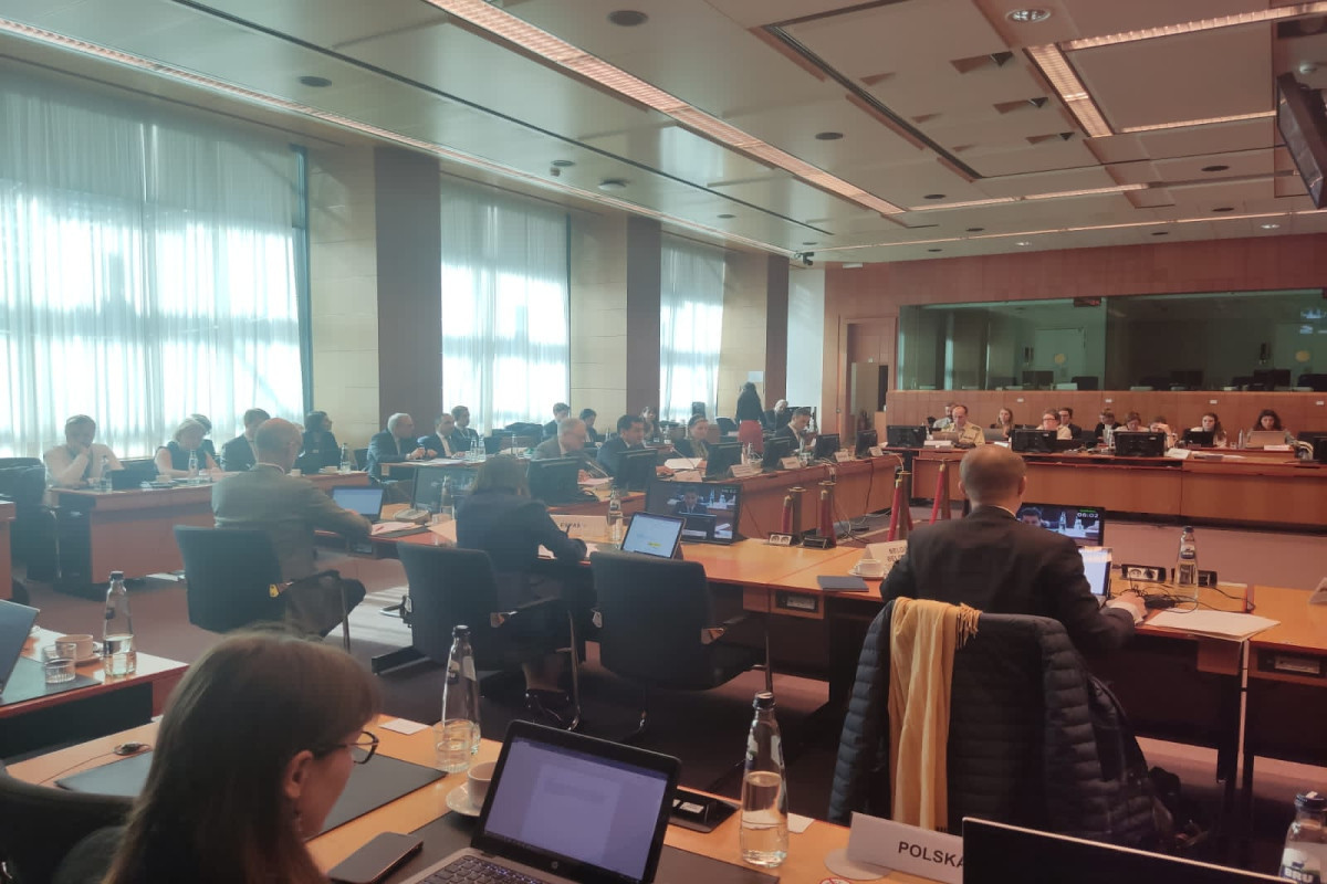 Assistant of Azerbaijani President meets with Chair of the Political and Security Committee of EU